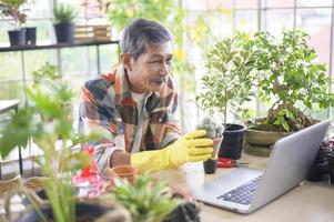 Senior man entrepreneur working with laptop presents houseplants during online live stream at home, selling online concept photo