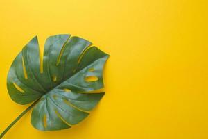 Tropical palm leaves on yellow background with copy space photo