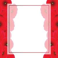 Red Corn Poppy Banner Card Border vector