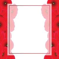 Red Corn Poppy Banner Card Border vector