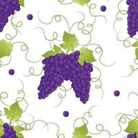 Pueple Grape Seamless on White Background. vector