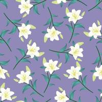 White Lily on Purple Background vector