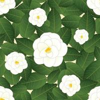 White Camellia Flower on Ivory Beige Background vector