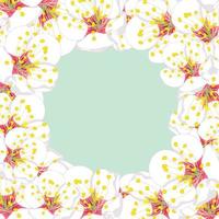 White Plum Blossom Flower Border on Green Mint2 vector