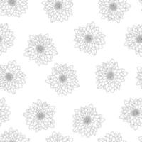 Chrysanthemum Outline on White Background vector