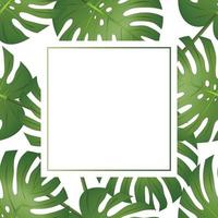 Philodendron Monstera Leaf Banner Card vector