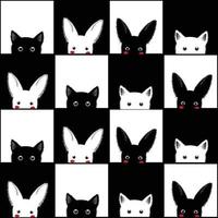 fondo de tablero de ajedrez conejo gato blanco negro vector