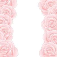 Pink Rose Border vector