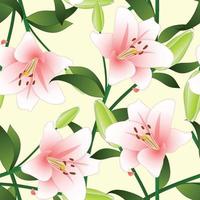 Lilium candidum, the Madonna lily or Pink Lily on Beige Ivory Background. Vector Illustration