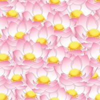 Pink Indian lotus Seamless Background vector