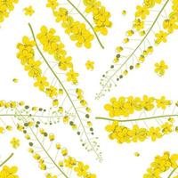 Cassia Fistula - Golden Shower Flower on White Background vector