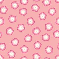 flor de gloria de la mañana rosa sobre fondo rosa vector