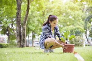 woman is planting the tree in the garden photo