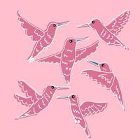 Doodle tropical hummingbirds pattern. vector