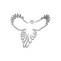 Flying bird Vector line Art