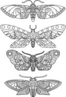 Ornament Moth Drawing for Coloring Therapy vector
