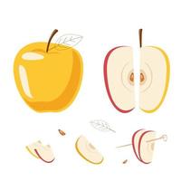 Set of apples and slices vector