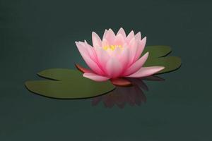 Lotus flower and leaves growing in the water, vector illustration