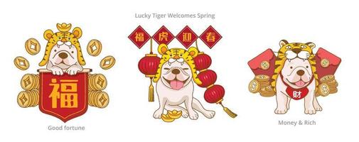 lindo bulldog francés vestido con un disfraz de tigre y con las coplas rojas de primavera decir bendiciones y tigre afortunado dar la bienvenida a la primavera para celebrar el año nuevo chino vector