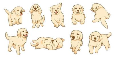 conjunto de ilustración de cachorro de golden retriever juguetón de dibujos animados vector