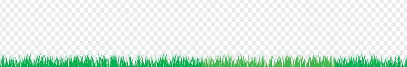 Vector bright green realistic seamless grass border isolated on transparent background