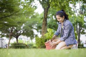 mujer está plantando el árbol en el jardín foto