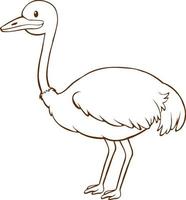 Ostrich in doodle simple style on white background vector