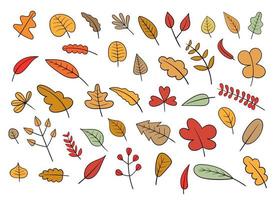 Autumn leaf vector design illustration isolated on white background