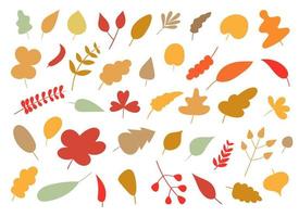 Autumn leaf vector design illustration isolated on white background