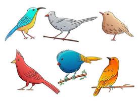 conjunto de aves ilustración de diseño vectorial aislado sobre fondo blanco vector