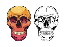 Skull vector design illustration isolated on white background