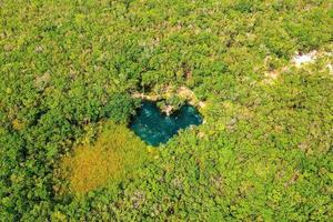 cenote en forma de corazón en medio de una jungla en tulum, méxico. foto