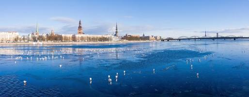 Beautiful view of the frozen river with sea gulls sitting on the ice by the old town of Riga in Latvia.