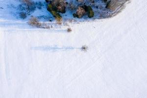 Beautiful aerial view of the huge frozen lake in the middle of a forest in Latvia. Frozen Ungurs lake in Latvia. photo
