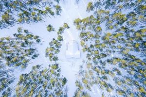 vista aérea del bosque de invierno cubierto de nieve. fotografía con drones foto