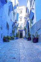 callejón estrecho de la ciudad azul con plantas en macetas que conducen a estructuras residenciales a ambos lados foto