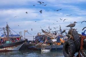 Seagulls hovering over fishing boats anchored at marina against cloudy sky photo