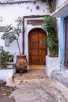 Arched entry of a traditional house with potted plants in front of metallic closed door photo