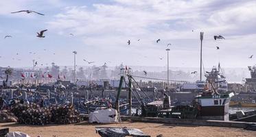 gaviotas flotando sobre barcos de pesca anclados en el puerto deportivo contra el cielo nublado foto