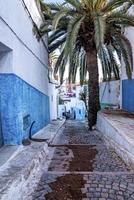 callejón estrecho con sendero dañado y palmera en medio de paredes de color blanco y azul foto
