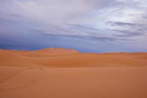 Impresionante vista de las dunas de arena marrón en el desierto contra el cielo nublado foto
