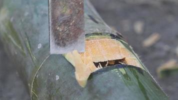 homem local perfurando um buraco em bambu verde com formão para fazer artesanato tradicional.