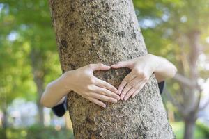 close up human hand is hugging the tree photo