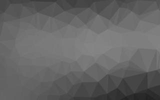 diseño abstracto de polígono de vector gris plateado claro.