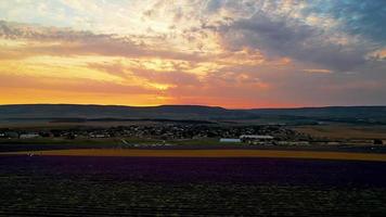 Aerial view of the landscape with a view of the lavender field photo