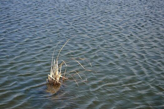 Water surface background with tiny waves and reflections. photo