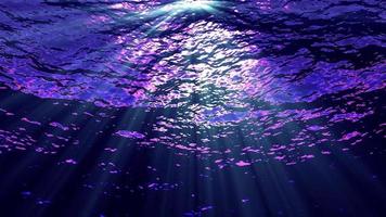 Underwater Light Filters Down Through Ocean Waves video