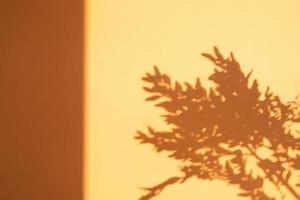 Shadows of twigs of dry plants on the wall in orange color. Creative monochrome nature background