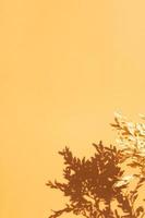 Shadows of twigs of dry plants on the wall in orange color. Nature vertical background with copy space vertical format photo