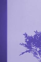 Shadows of twigs of plants on the wall in very peri color tinted. Nature background in color of the year 2022 photo